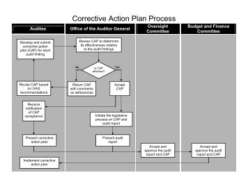 CAP Process Flowchart - Navajo Nation | Office of the Auditor General