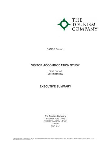 Appx 1 Executive Summary PDF 64 KB - Bath and North East ...