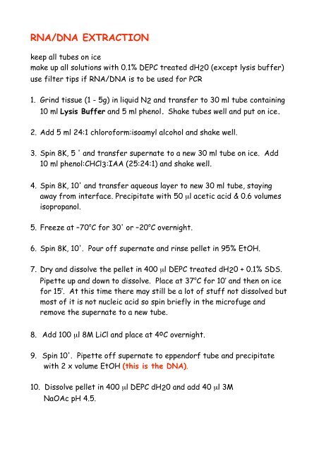 rna dna extraction