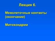 ÐÐ´Ð³ÐµÐ·Ð¸Ð¾Ð½Ð½ÑÐµ ÐºÐ¾Ð½ÑÐ°ÐºÑÑ