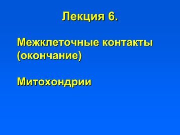 ÐÐ´Ð³ÐµÐ·Ð¸Ð¾Ð½Ð½ÑÐµ ÐºÐ¾Ð½ÑÐ°ÐºÑÑ