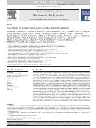 mitochondria-targeted antioxidants.pdf - Homepage: Starius