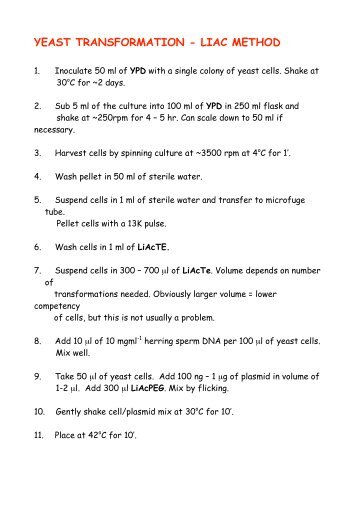 YEAST TRANSFORMATION - LIAC METHOD