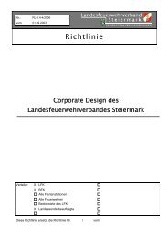 Corporate Design des LFV - Landesfeuerwehrverband Steiermark