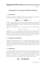 Propagation d'un paquet d'ondes quantique - Grenoble Sciences