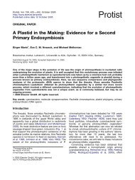 A Plastid in the Making: Evidence for a Second Primary ...