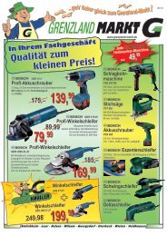 Profi-Winkelschleifer - Grenzland Markt