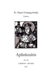 AplinkraÅ¡tis Nr. 10 - Å v. Pijaus X brolija