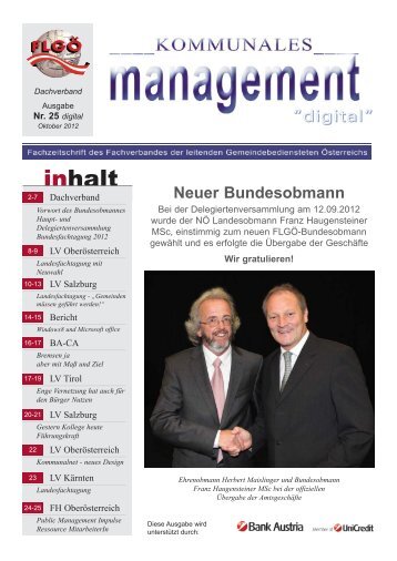 âKommunales Managementâ NR. 25 - flgt