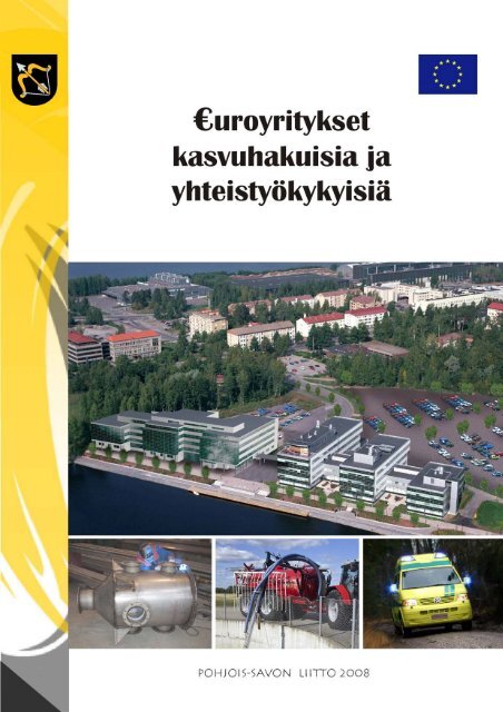 ohjelman yritystukia saaneista yrityksistä 2000-2007, Erkki