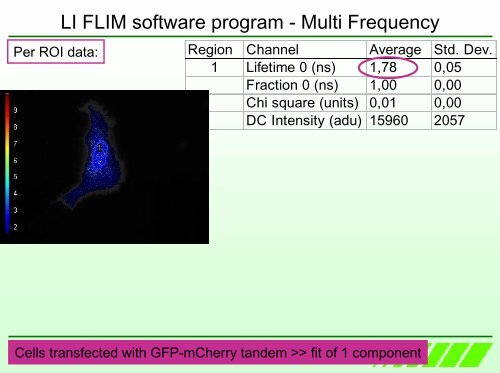 Fluorescence Lifetime Imaging Microscopy ... - Photon Lines