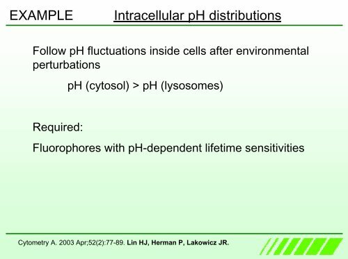 Fluorescence Lifetime Imaging Microscopy ... - Photon Lines