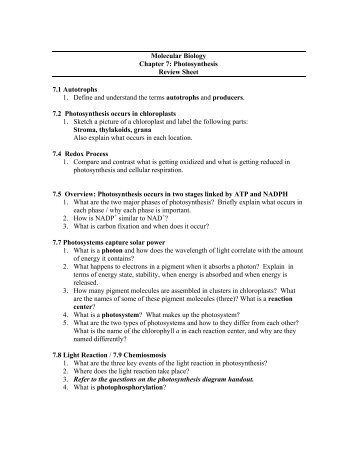 Molecular Biology Chapter 7: Photosynthesis Review Sheet 7.1 ...
