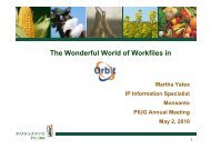 The Wonderful World of Workfiles in orbit.com - Questel