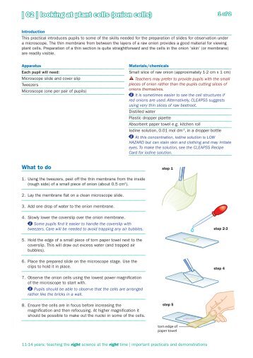 | 02 | looking at plant cells (onion cells) - 4science