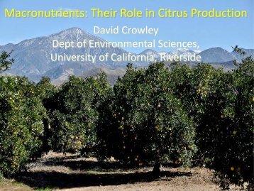 Macronutrients: Their Role in Citrus Production - Citrus Research ...
