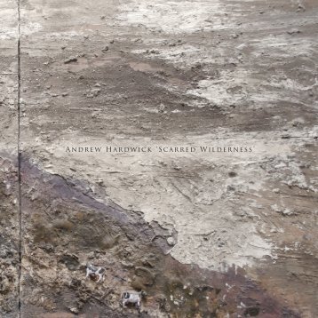 Andrew Hardwick 'Scarred Wilderness'