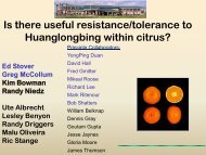 Is there useful resistance/tolerance to Huanglongbing within citrus?