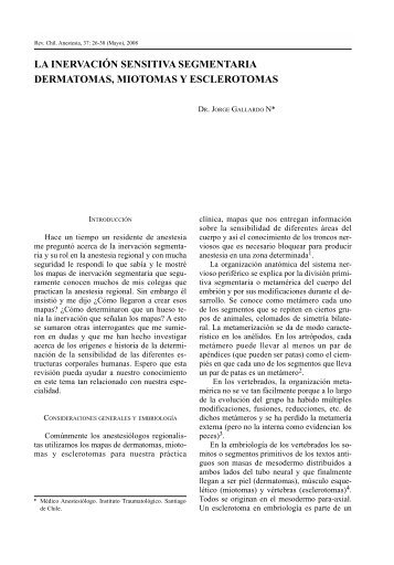 La Inervación Sensitiva Segmentaria Dermatomas, Miotomas y ...