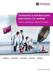 Ondeando la bandera para soluciones a la medida - Evonik Industries