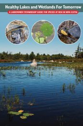 Healthy Lakes and Wetlands For Tomorrow - Species at Risk