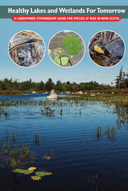 Healthy Lakes and Wetlands For Tomorrow - Species at Risk