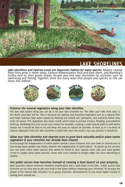 Healthy Lakes and Wetlands For Tomorrow - Species at Risk