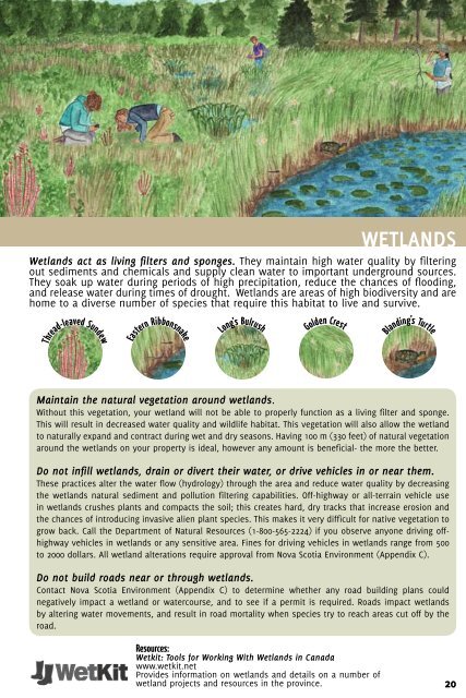 Healthy Lakes and Wetlands For Tomorrow - Species at Risk