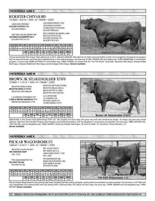 Leland - Koester Red Angus Sale Catalog 2015