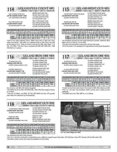 Leland - Koester Red Angus Sale Catalog 2015