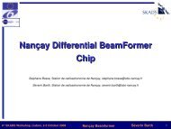 NanÃ§ay Differential BeamFormer Chip - skads