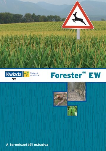 Forester EW - Kwizda