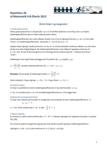 Rette linjer.pdf