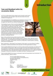 Tree Advice sheet - Lincolnshire Wolds Countryside Service