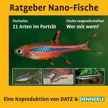 Ratgeber Nano-Fische - Dennerle