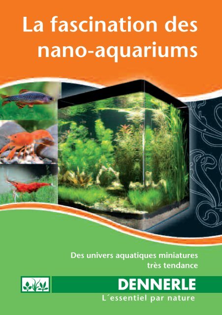 La fascination des nano-aquariums - Dennerle