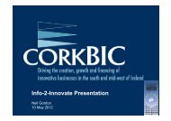 Neil Gordon, CORKBIC - Enterprise Europe Ireland