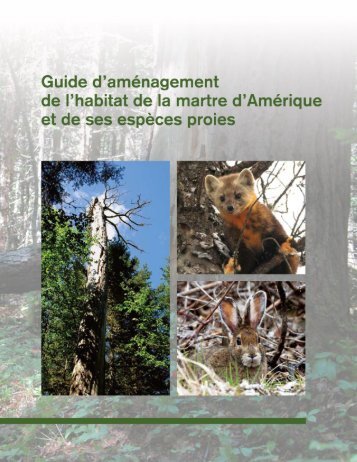 Guide d'amÃ©nagement de l'habitat de la martre d'AmÃ©rique et de ses ...