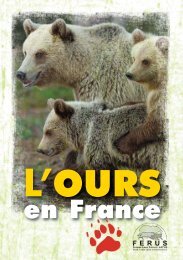 Plaquette Ours:Mise en page 1 - Ferus