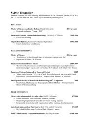 graphic in pdf & word format. Curriculum Vitae Format Pdf : Full Curriculum Vitae Pdf Format Mcgill University