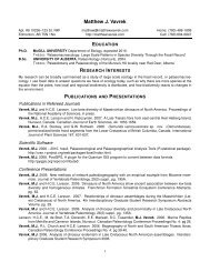 Academic cv template picture