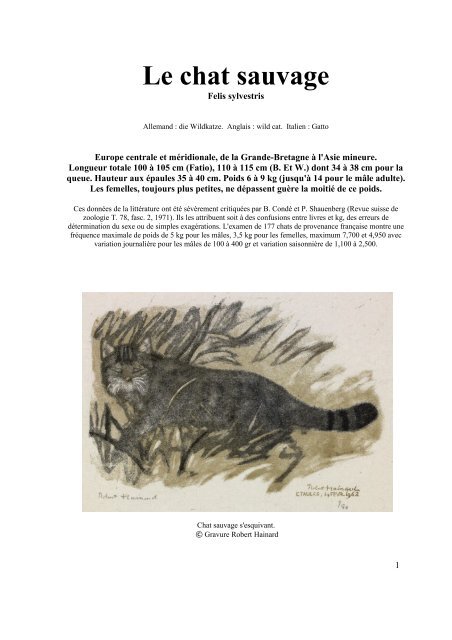 Le Chat Sauvage Fondation Hainard Le Chat Sauvage Fondation Hainard