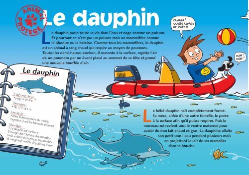 le dauphin - Le Petit Gibus