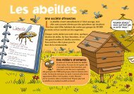 Les abeilles - Le Petit Gibus