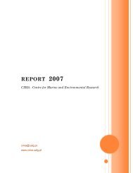 REPORT 2007 - CIMA - Universidade do Algarve