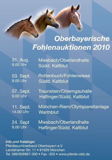 Oberbayerische Fohlenauktionen 2010 - Haflinger Reit- und ...