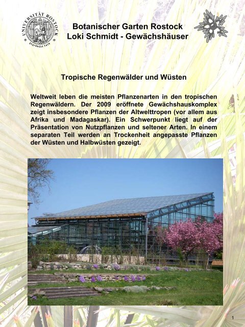 Loki Botanischer Garten Universita T Rostock