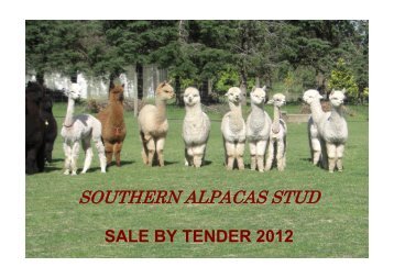 sales tender catalogue - Southern Alpacas