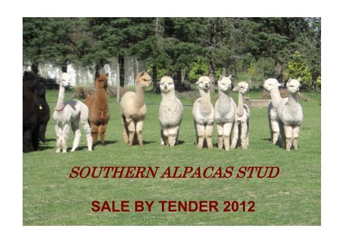 sales tender catalogue - Southern Alpacas