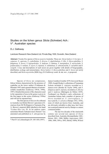 Studies on the lichen genus Sticta (Schreber ... - Tropical Bryology